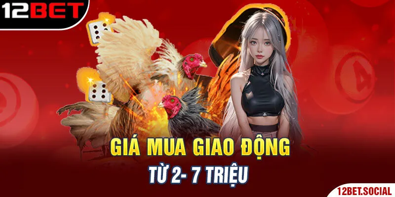 Giá mua giao động từ 2- 7 triệu Giá mua giao động từ 2- 7 triệu