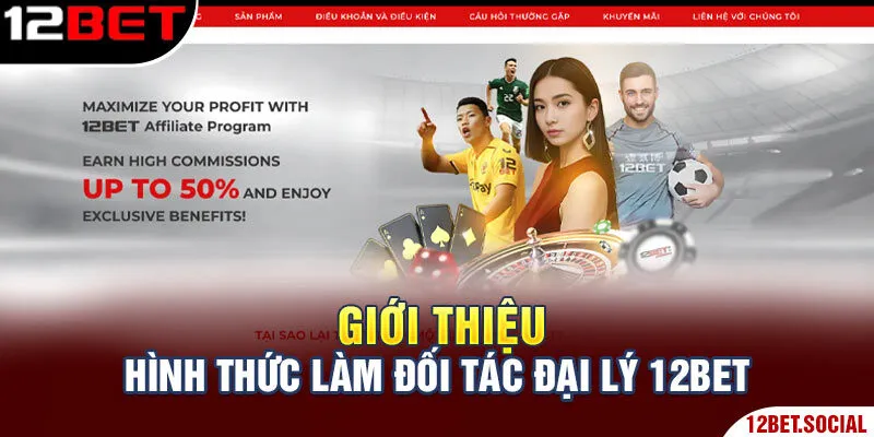Đại Lý 12bet - Kết Nối Thành Viên, Nhận Hoa Hồng Khủng 1 Giới thiệu hình thức làm đối tác đại lý 12Bet