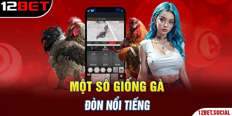 Một số giống gà đòn nổi tiếng Một số giống gà đòn nổi tiếng