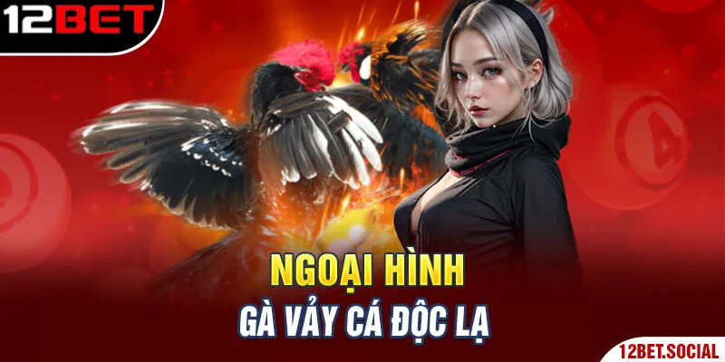 Ngoại hình gà vảy cá độc lạ Ngoại hình gà vảy cá độc lạ