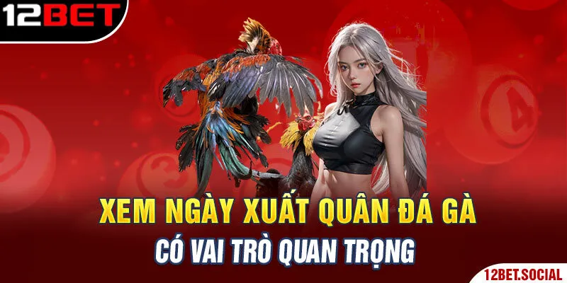 Xem ngày xuất quân đá gà có vai trò quan trọng Xem ngày xuất quân đá gà có vai trò quan trọng