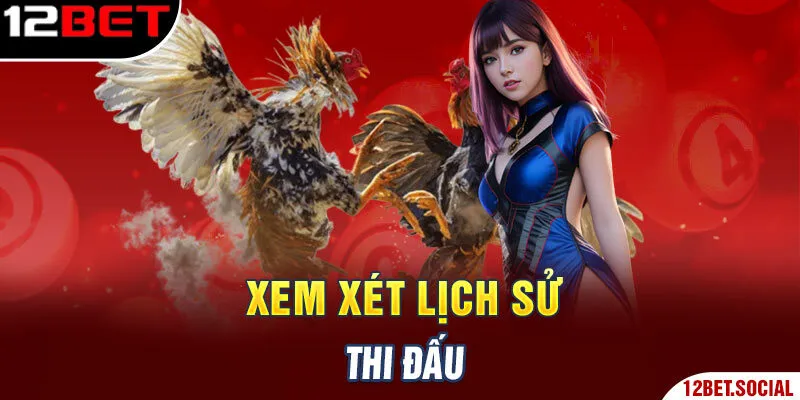 Xem xét lịch sử thi đấu Xem xét lịch sử thi đấu
